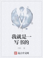 我就是一写书的